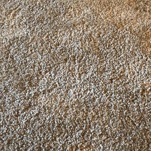 Meet your Posher, Brandi